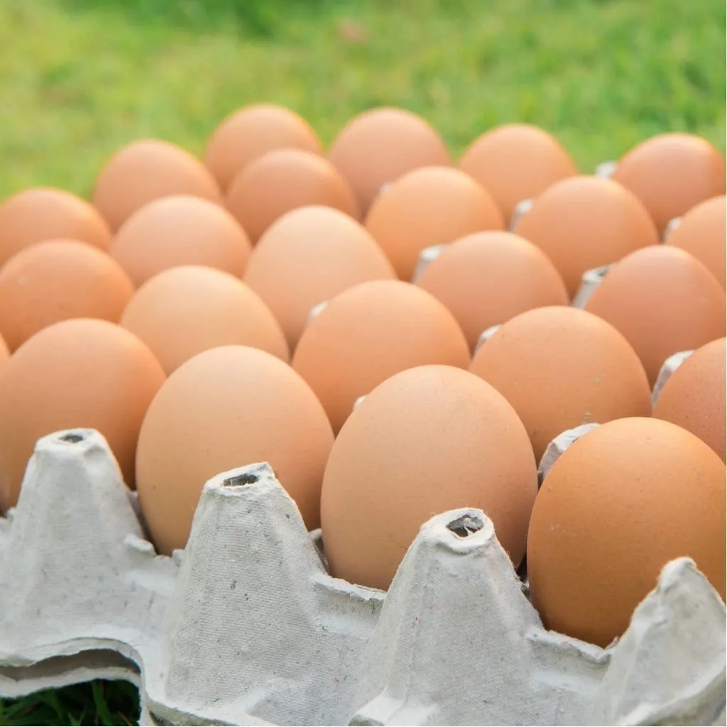 Huevos agroecológicos medio maple