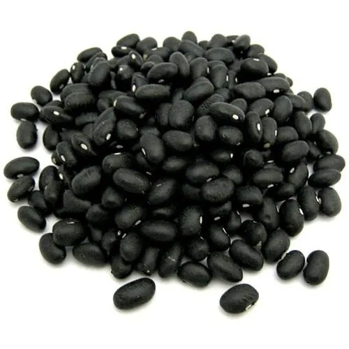 Porotos Negros Orgánicos Pampa Grains 1/2 kg